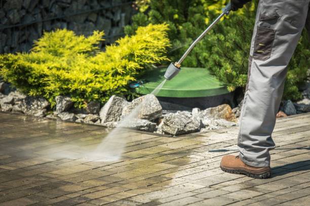 Best Pre-Holiday Cleaning  in Harlowton, MT